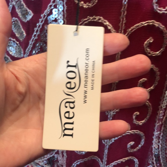 Stunning Sequin & Beaded Pink Dress with Lace. New with tags!  Size Large - Picture 8 of 17